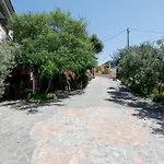 Mirtagru Trilo Mare *