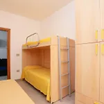 Mirtagru Trilo Mare